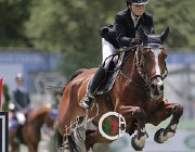 Lazzarini Up and Go CsioArJYR SS7 7483 : CSIO Giovani Arezzo, Lazzarini Alice, Up and Go, foto Stefano Secchi ©